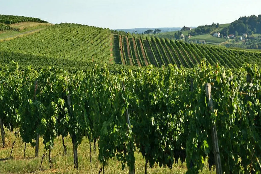 Pipangaille Bed & Breakfast Andancette